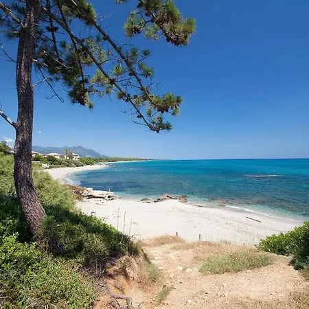 Hébergement de vacances Gites De Bravone Linguizzetta