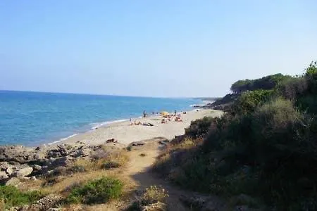 Hébergement de vacances Gites De Bravone Linguizzetta