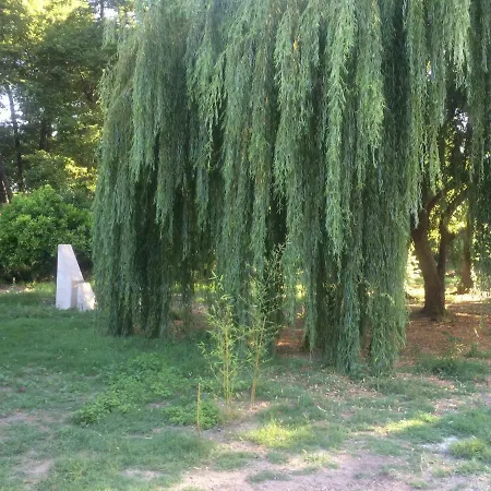 Gites De Bravone Hébergement de vacances