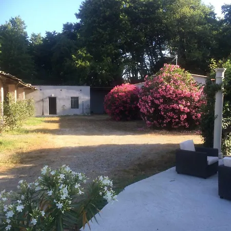 Gites De Bravone Hébergement de vacances Linguizzetta